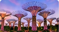 Gardens by the Bay